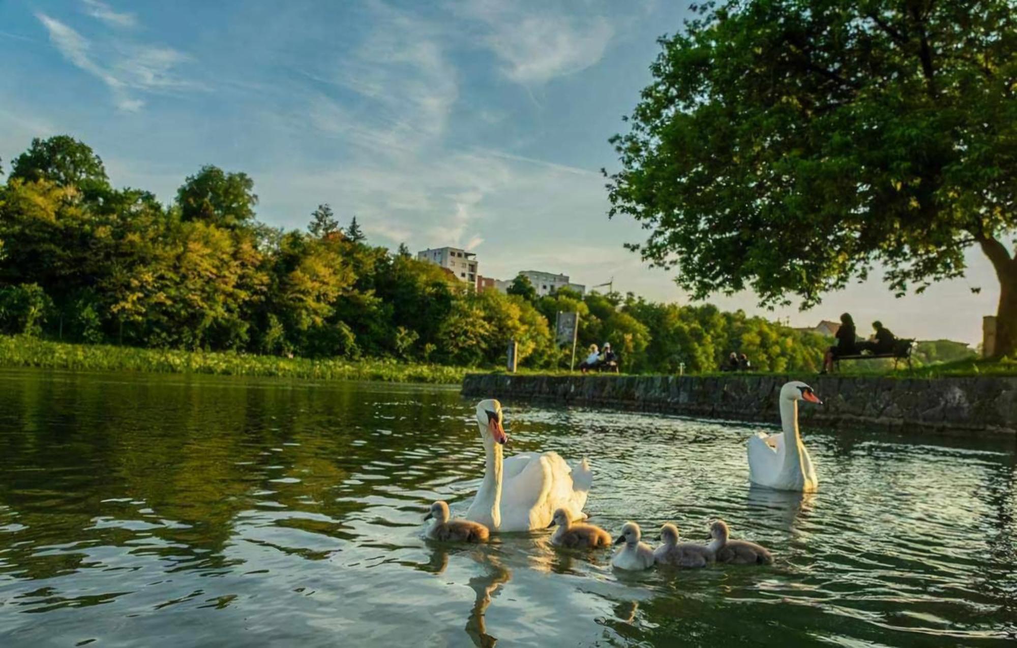 Apartment Dolce Vita Maribor Exterior foto