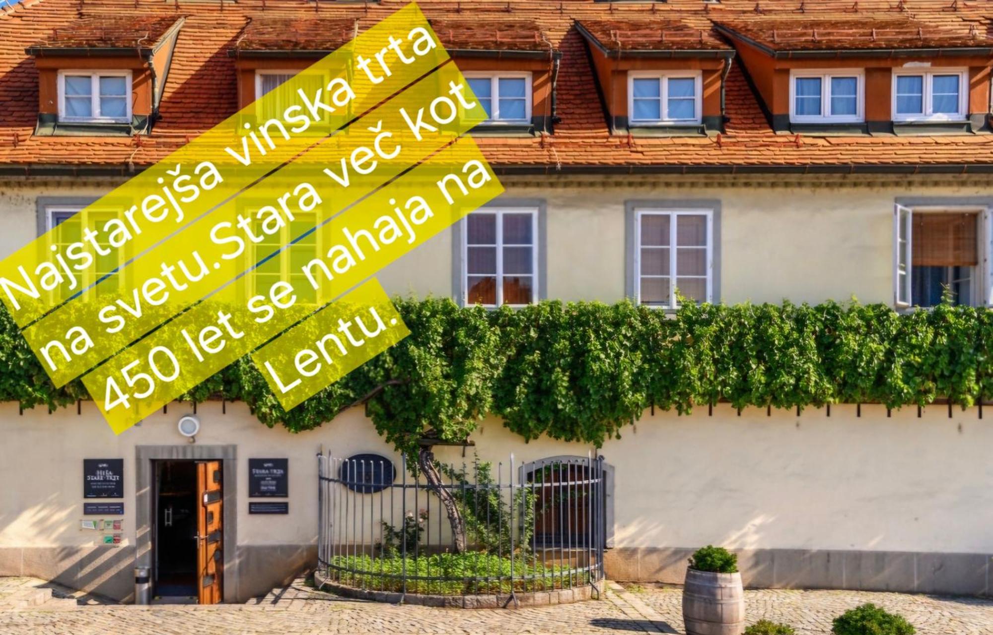 Apartment Dolce Vita Maribor Exterior foto